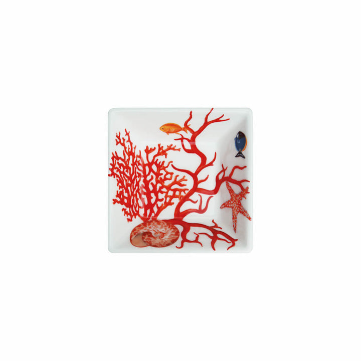 TaitùsquerBowl Sea Porcelain End Bone China 12-3-14